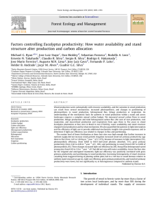 Factors controlling Eucalyptus productivity: How water availability and stand