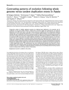 Contrasting patterns of evolution following whole