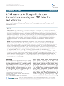 A SNP resource for Douglas-fir: de novo and validation