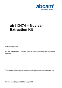 ab113474 – Nuclear Extraction Kit