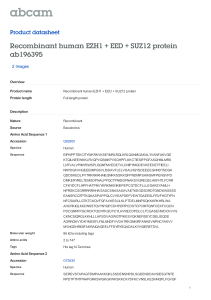 Recombinant human EZH1 + EED + SUZ12 protein ab196395