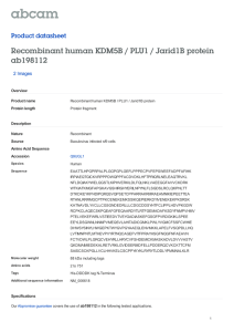 Recombinant human KDM5B / PLU1 / Jarid1B protein ab198112