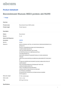 Recombinant Human NSD3 protein ab196390 Product datasheet 1 Image Overview