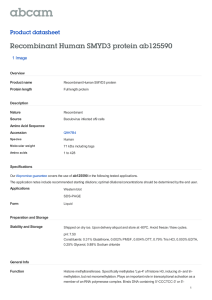 Recombinant Human SMYD3 protein ab125590 Product datasheet 1 Image Overview