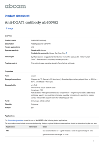 Anti-DGAT1 antibody ab100982 Product datasheet 1 Image