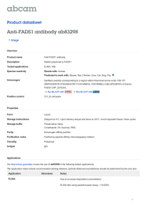 Anti-FADS1 antibody ab83298 Product datasheet 1 Image