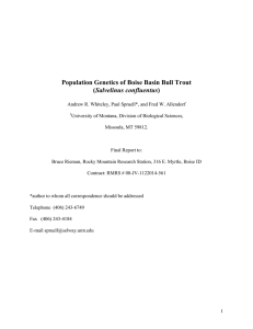 Population Genetics of Boise Basin Bull Trout Salvelinus confluentus