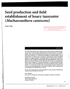 Seed production and field establishment of hoary tansyaster (Machaeranthera canescens) J