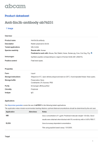 Anti-Sin3b antibody ab76231 Product datasheet 1 Image