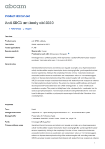 Anti-SRC3 antibody ab10310 Product datasheet 1 References 2 Images