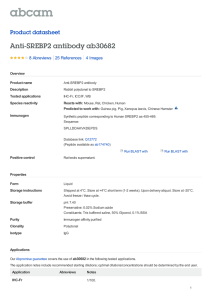 Anti-SREBP2 antibody ab30682 Product datasheet 8 Abreviews 4 Images