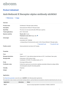 Anti-Retinoid X Receptor alpha antibody ab24363 Product datasheet 1 References 1 Image