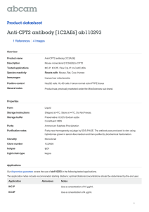 Anti-CPT2 antibody [1C2AE6] ab110293 Product datasheet 1 References 4 Images