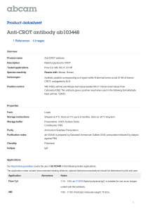 Anti-CROT antibody ab103448 Product datasheet 1 References 4 Images