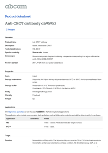 Anti-CROT antibody ab95953 Product datasheet 2 Images Overview