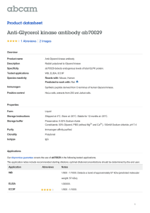 Anti-Glycerol kinase antibody ab70029 Product datasheet 1 Abreviews 2 Images