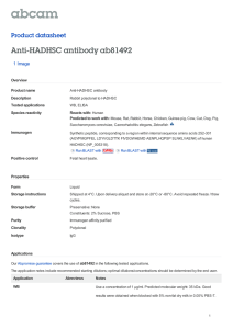 Anti-HADHSC antibody ab81492 Product datasheet 1 Image