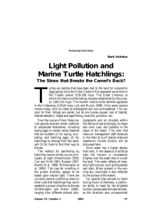 T Light Pollution and Marine Turtle Hatchlings: