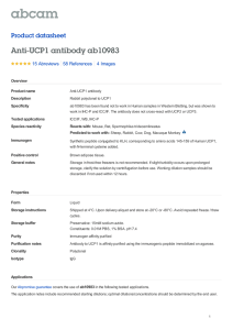 Anti-UCP1 antibody ab10983 Product datasheet 15 Abreviews 4 Images