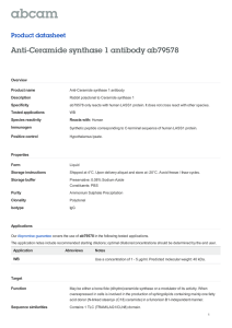 Anti-Ceramide synthase 1 antibody ab79578 Product datasheet Overview Product name