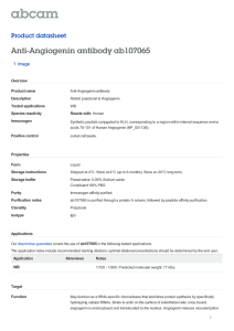 Anti-Angiogenin antibody ab107065 Product datasheet 1 Image Overview