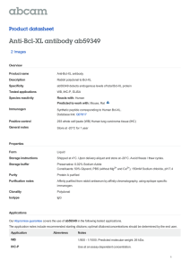 Anti-Bcl-XL antibody ab59349 Product datasheet 2 Images Overview