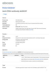 Anti-CD26 antibody ab28339 Product datasheet 1 Image Overview