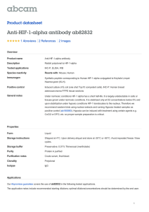 Anti-HIF-1-alpha antibody ab82832 Product datasheet 1 Abreviews 2 Images