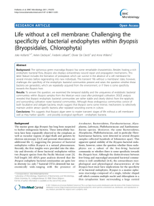 Life without a cell membrane: Challenging the (Bryopsidales, Chlorophyta)
