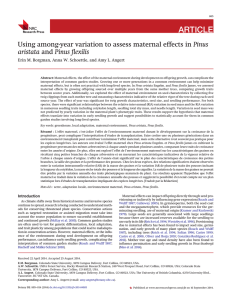 ARTICLE Pinus aristata Erin M. Borgman, Anna W. Schoettle, and Amy L. Angert