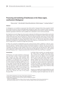 24 Processing and marketing of holothurians in the Toliara region, southwestern Madagascar
