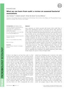 –bacterial What we can learn from sushi: a review on seaweed associations