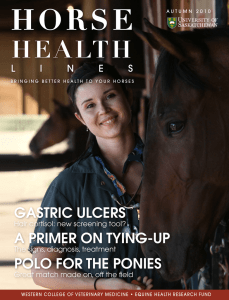 GASTRIC ULCERS A PRIMER ON TYING-UP POLO FOR THE PONIES