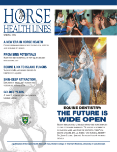 HORSE HEALTH LINES