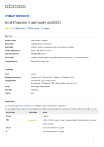 Anti-Claudin 3 antibody ab52231 Product datasheet 5 Abreviews 5 Images