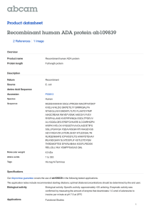 Recombinant human ADA protein ab109839 Product datasheet 2 References 1 Image
