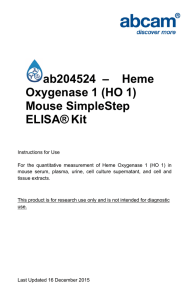 ab204524  –    Heme Oxygenase 1 (HO 1) ELISA®