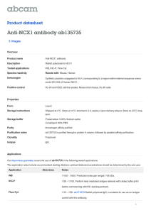 Anti-NCX1 antibody ab135735 Product datasheet 3 Images Overview