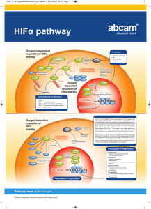 HIFα pathway Co-factors: Transcriptional co-activators: