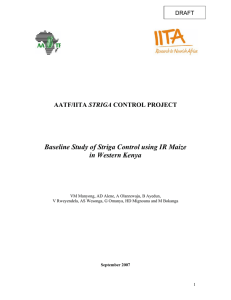 Baseline Study of Striga Control using IR Maize in Western Kenya STRIGA DRAFT