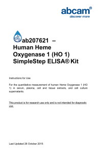 ab207621  – Human Heme Oxygenase 1 (HO 1) SimpleStep ELISA®