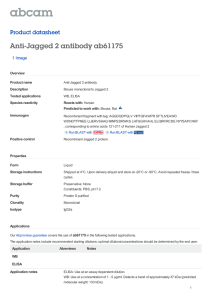 Anti-Jagged 2 antibody ab61175 Product datasheet 1 Image
