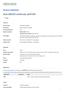 Anti-ABCD2 antibody ab97383 Product datasheet 1 Image