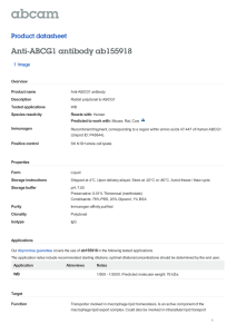 Anti-ABCG1 antibody ab155918 Product datasheet 1 Image