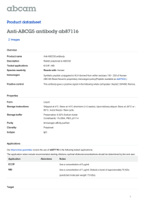 Anti-ABCG5 antibody ab87116 Product datasheet 2 Images Overview