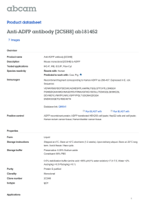 Anti-ADFP antibody [2C5H8] ab181452 Product datasheet 7 Images