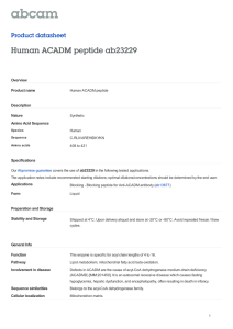 Human ACADM peptide ab23229 Product datasheet Overview Product name