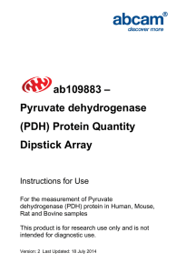ab109883 – Pyruvate dehydrogenase (PDH) Protein Quantity Dipstick Array