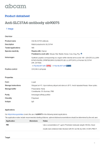 Anti-SLC37A4 antibody ab90075 Product datasheet 1 Image