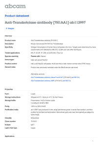 Anti-Transketolase antibody [7H1AA1] ab112997 Product datasheet 4 Images Overview